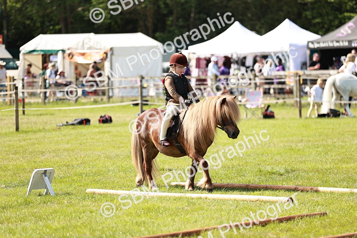 SBM_12759 - Class 106-107 - BSPS LIHS Working Sports Pony