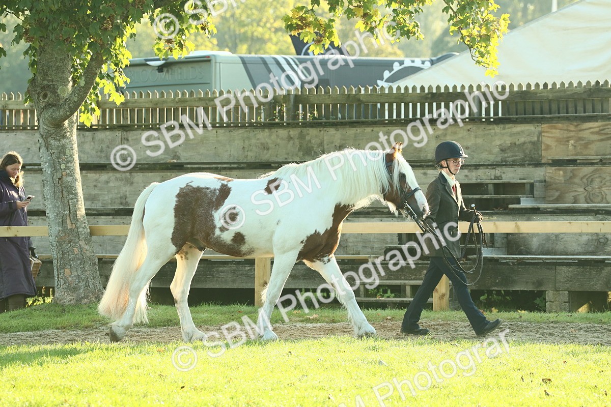 SBM_57314 - S37 - Starters In Hand Showing