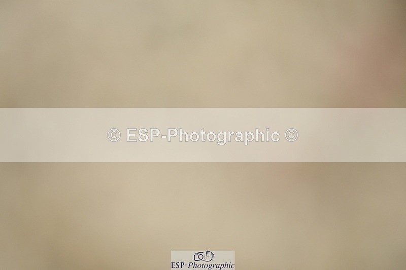 230701A-125120-05837 - Cls 7 Elementary 45