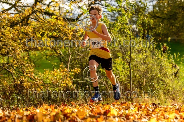 NatRel25-914610 - Young Male Set Two