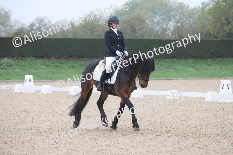 20251012-0424 - Class 3 - Novice 5