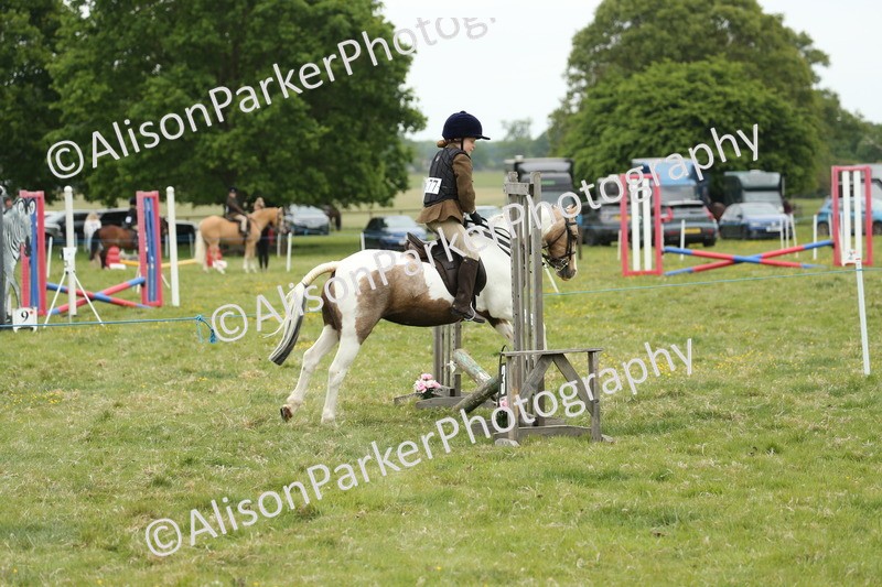 20250517-0416 - Class 20 - Beginners Working Hunter