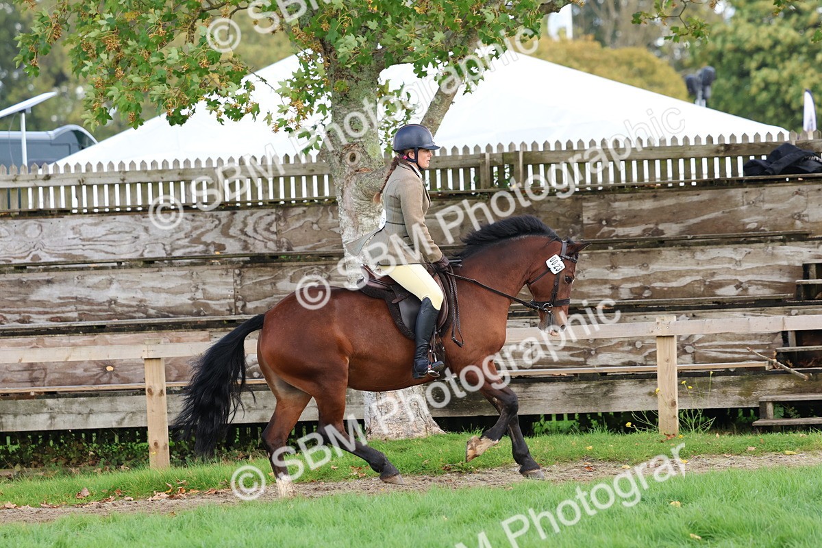 SBM_47645 - S28 - Veteran Ridden