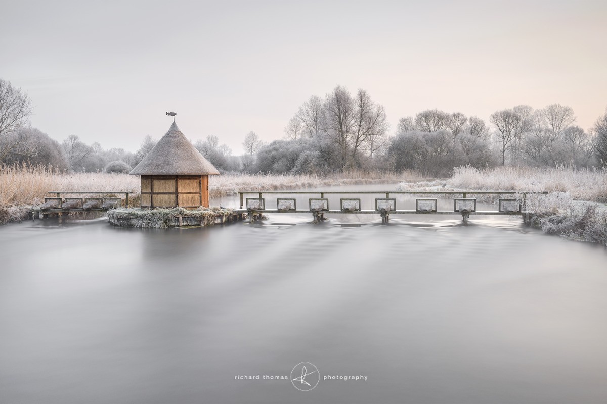 Frozen Fish - WINTER