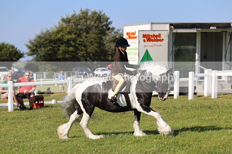 IMG_1507 - Class 30: Ridden Native/Trad Coloured Pony