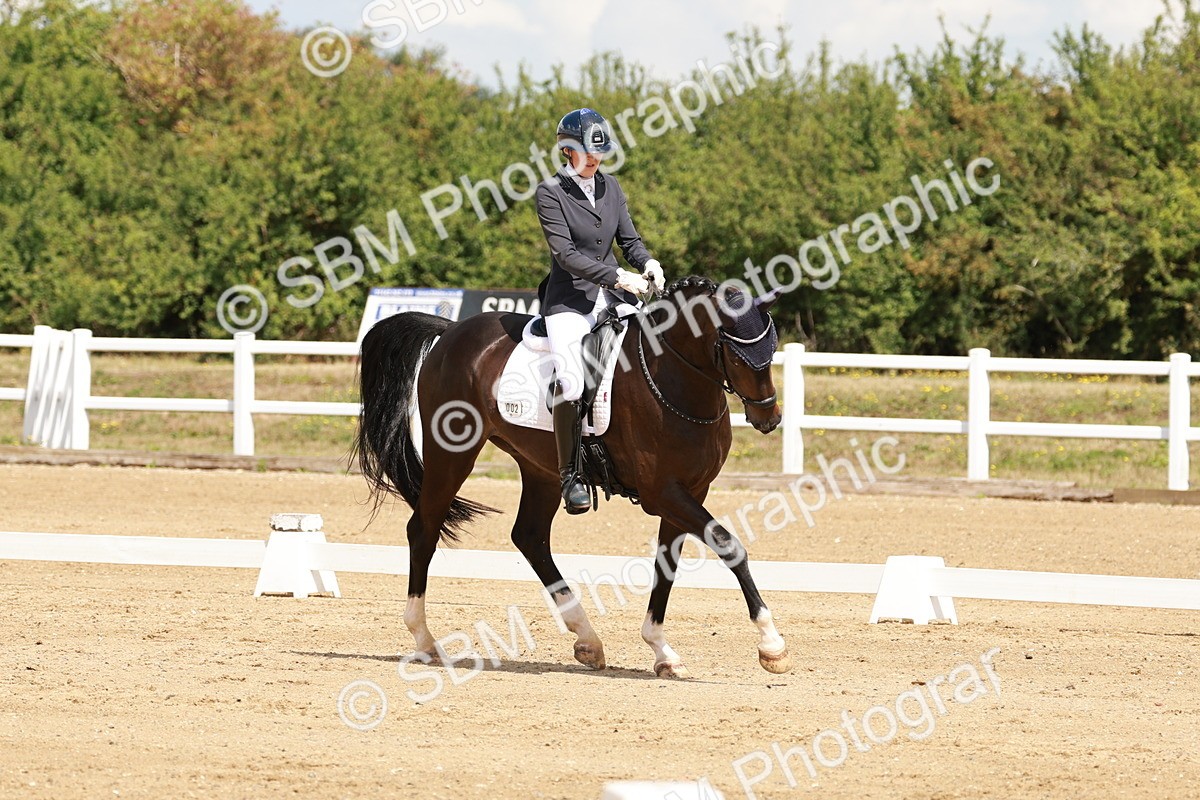 SBM_000816 - Class 4 - Novice 5