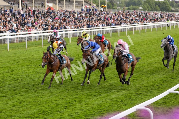 190523-Race 2-Sounds Of Heaven-7727 - Race 2 2.25pm Oaks Farm Stables Fillies' Stakes