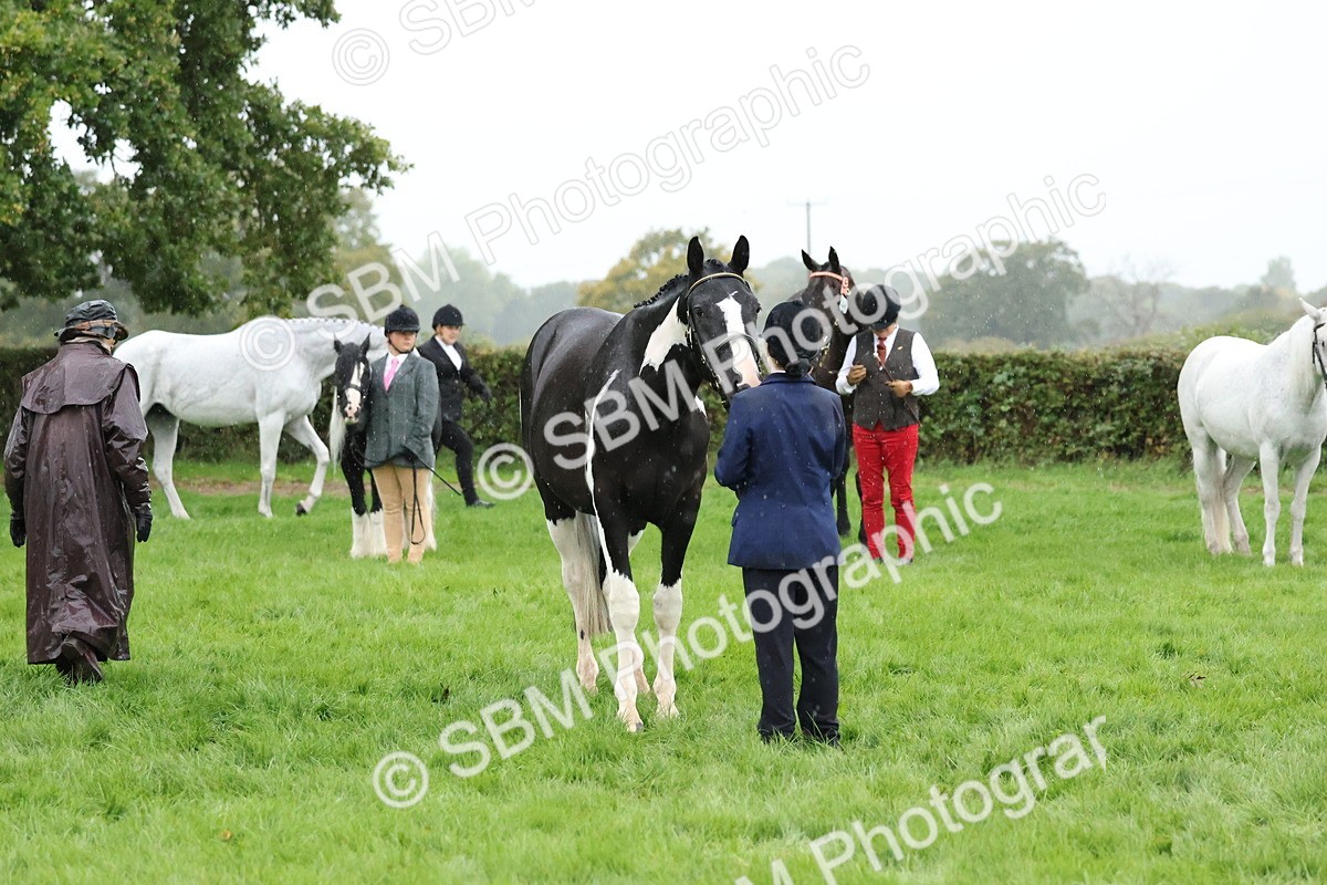 SBM_35315 - S10 - Best In Hand Horse & Pony