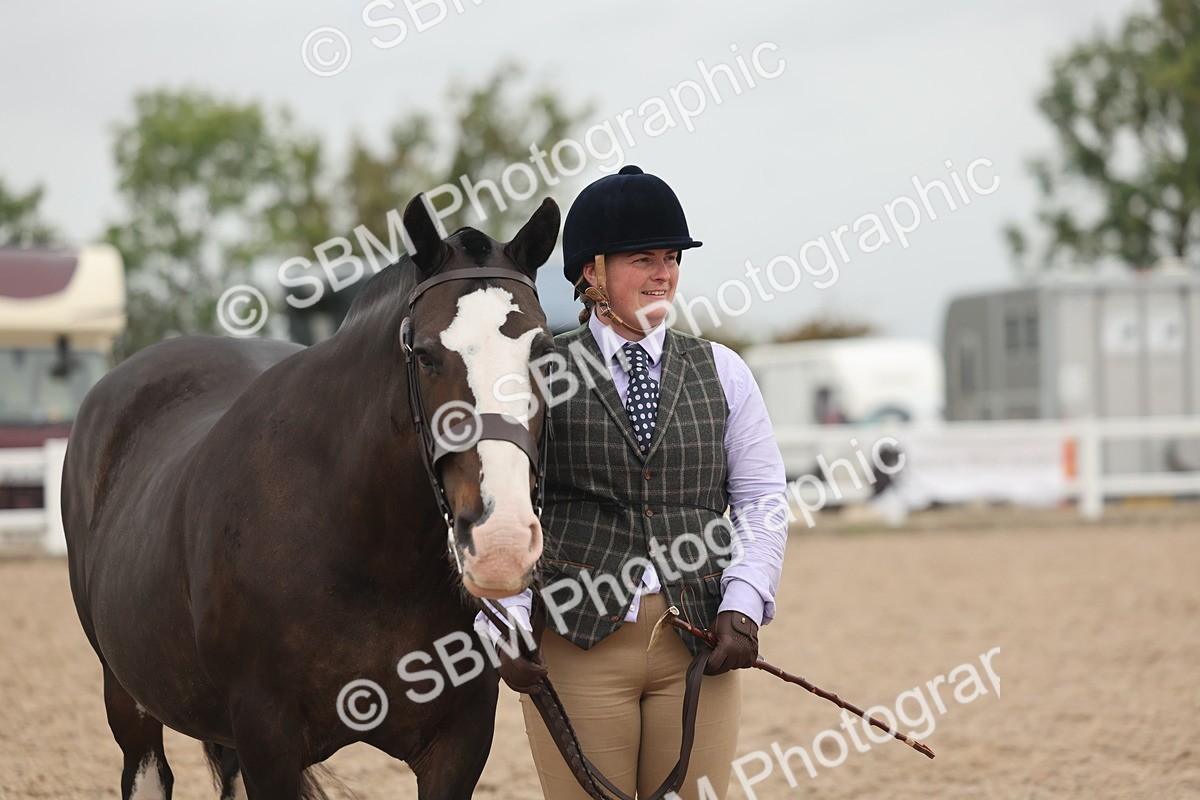 SBM_19869 - Class 318 - IH Part Bred Horse-Pony