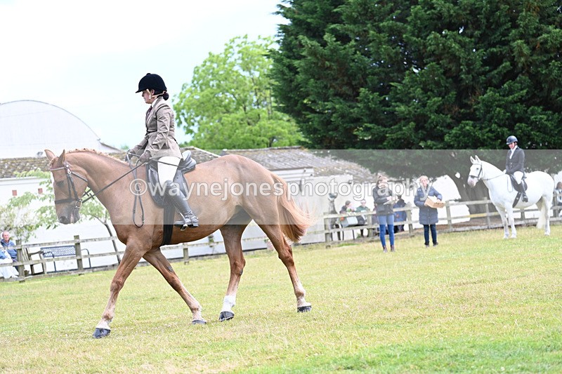 WJ7_9301 - Class 8 Ridden Veterans