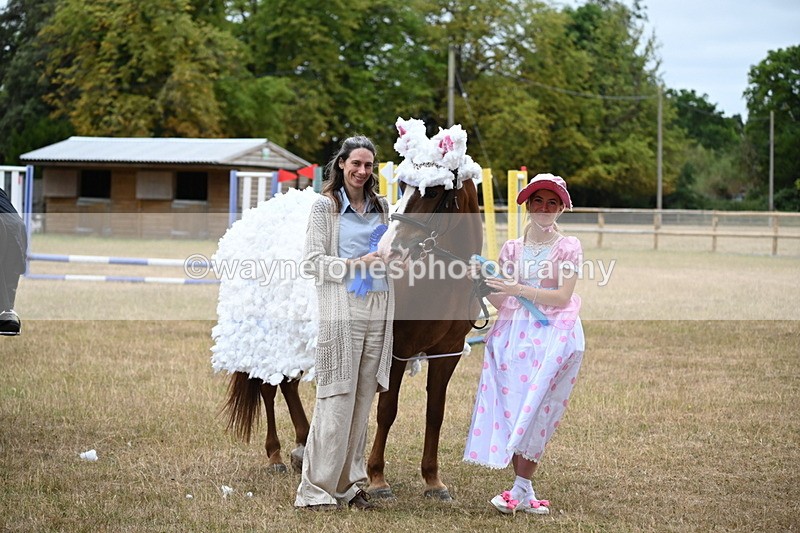 WJ6_9005 - Class 11 Fancy Dress