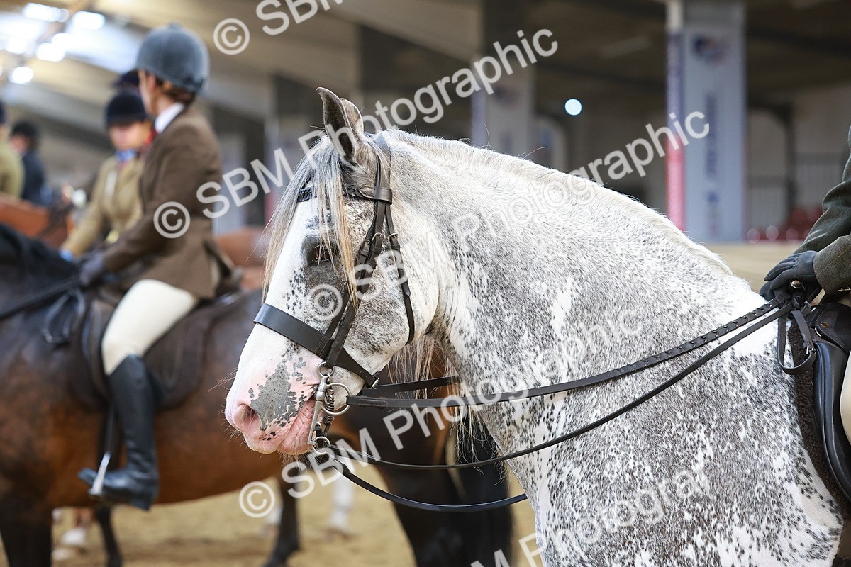 SBM_12498 - Class 103 - HOYS Veteran Qualifier - Ridden Pre Vet