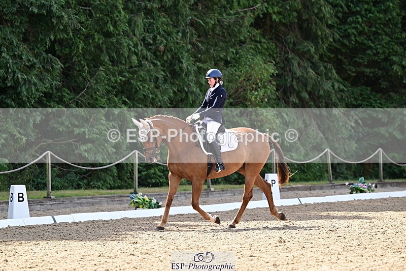 260802A-103815-05550 - Novice Silver break - break