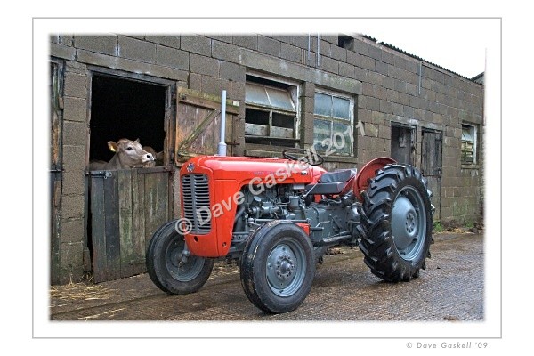  - Massey Ferguson