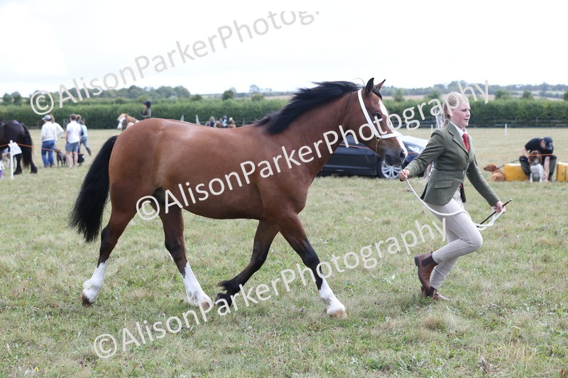 20250831-3040 - Class 23 - Child Handler