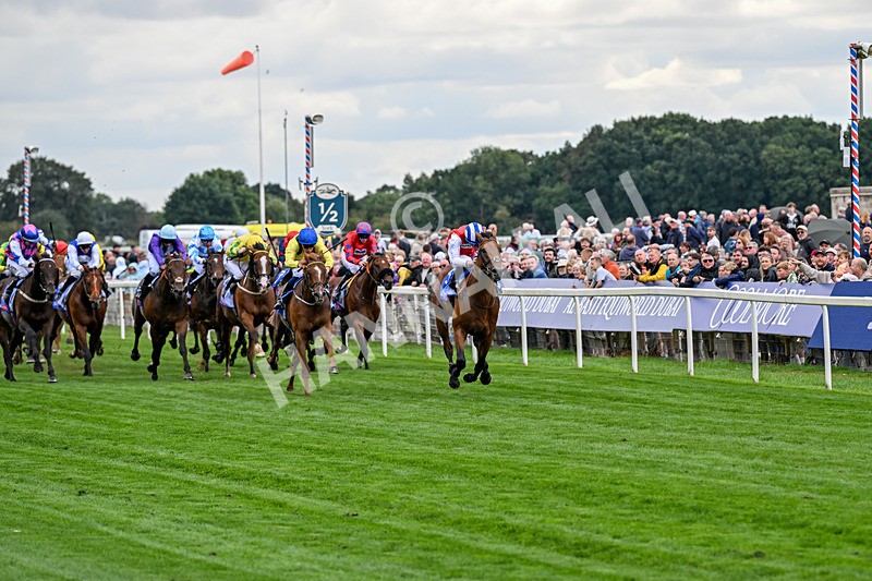 210826-Race 1-Blue Courvoisier-4934 - Race 1 13.50pm Sky Bet Mile Handicap