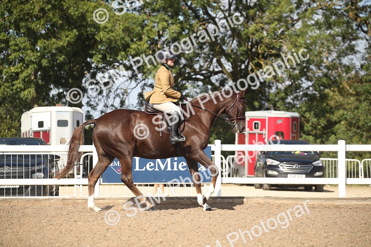 SBM_22880 - Class 602 - 2026 Area - Ridden Veteran