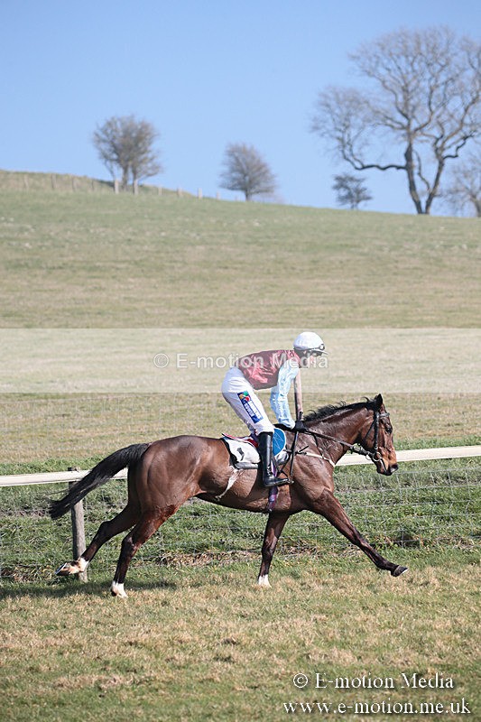 PtP 230219 266 - Vine & Craven Point-To-Point - Barbury 23/02/19