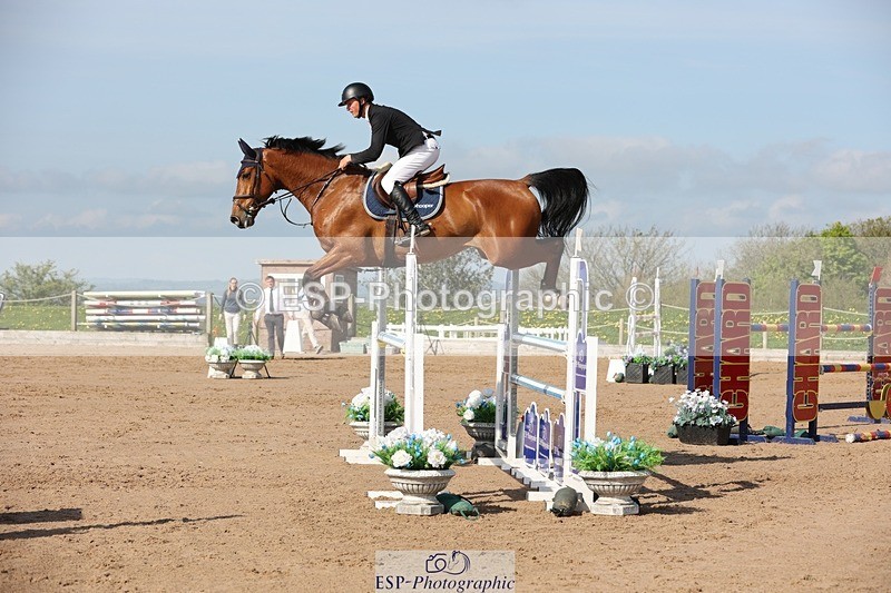 250427-100217-15216 - Cls 32 Young Horse 6yr old