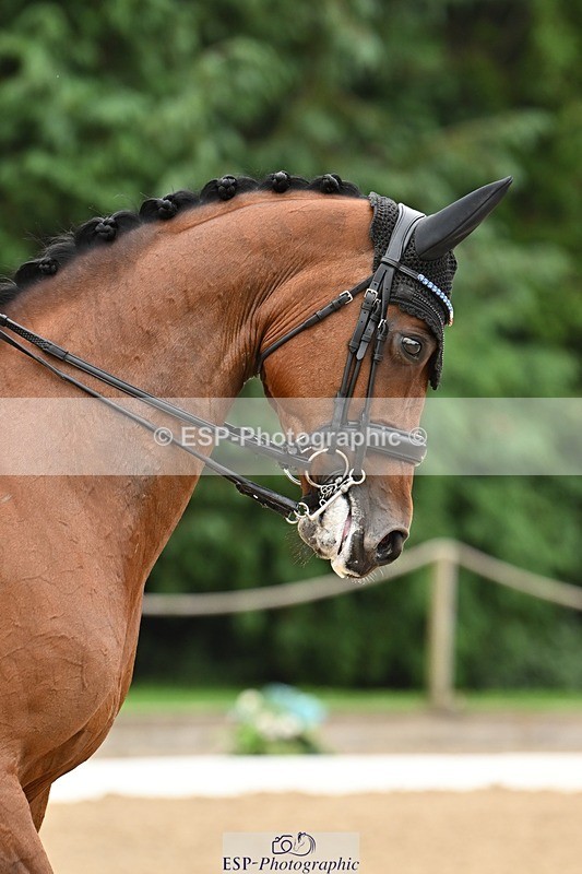 240811-114035-05236 - 229-Charlotte.Mack-Unchained.Melody