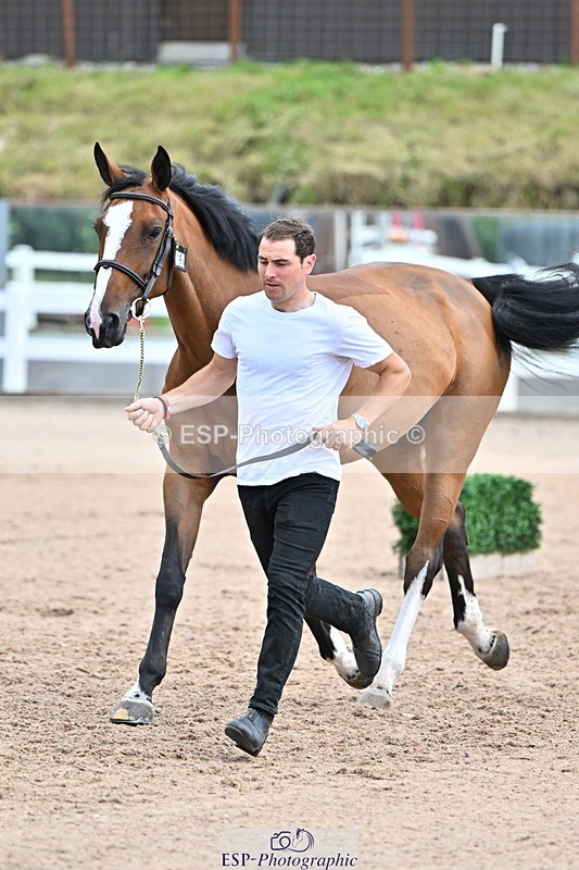 240718A-105308-01616 - Trot Up 1pm to 2pm