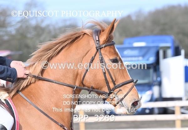 BPP_3289 - CLASS 2  Club/ Unaffiliated 80cms Open