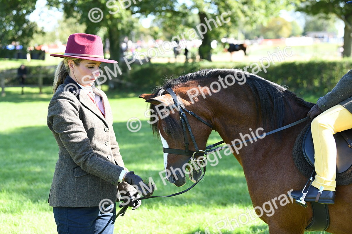 SBM_37002 - S18 - Novice & Newcomers Lead Rein Pony