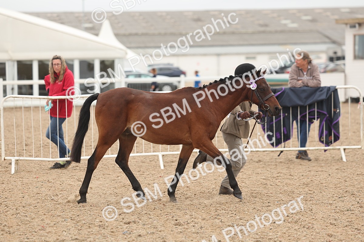 SBM_00510 - Class 13 Young Handler
