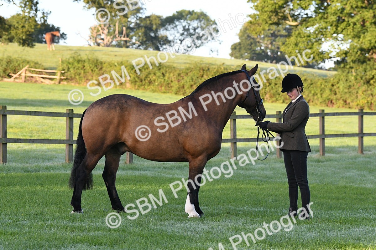 SBM_32544 - S15 - Condition & Turnout In Hand