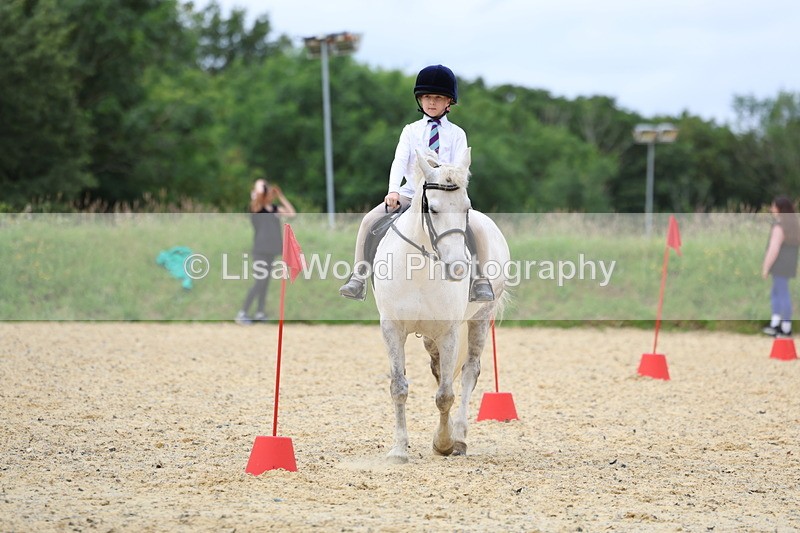 3E7A9402 - Walk trot run