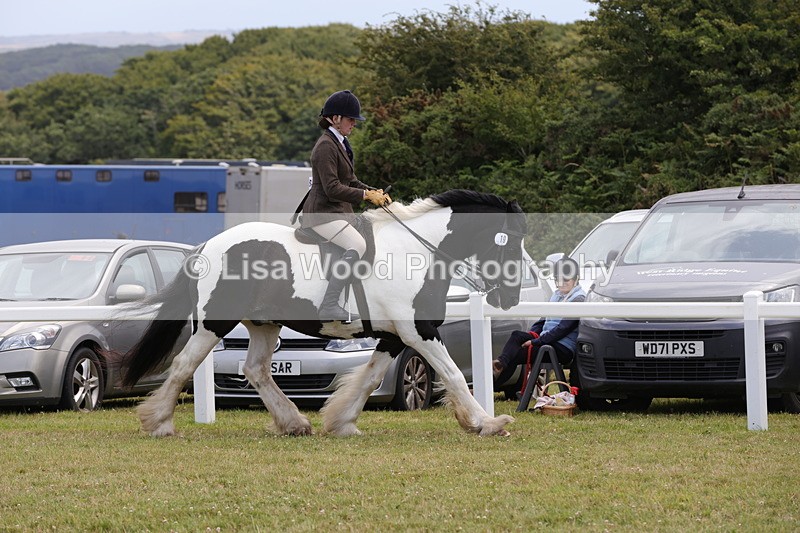 1X9A4511 - Class 34: Veteran Ridden