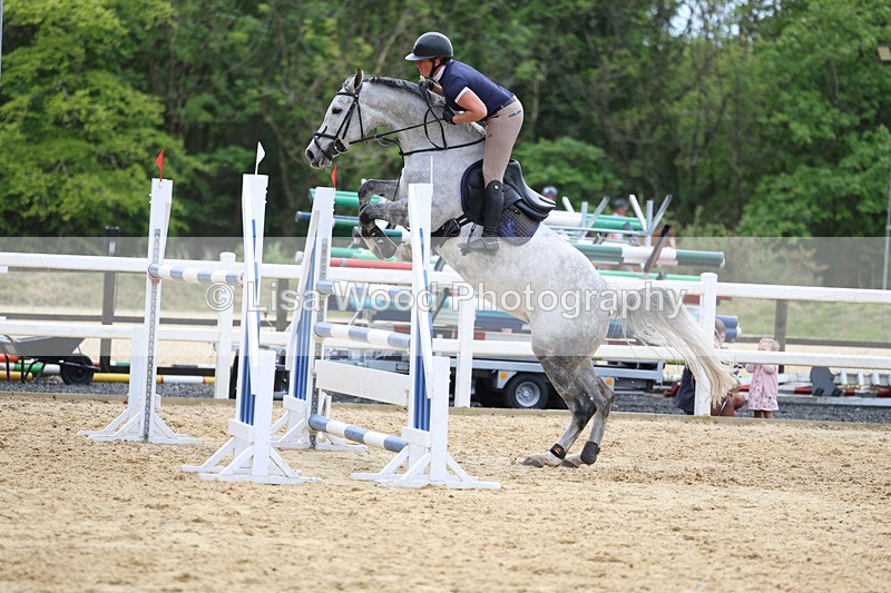 3E7A7586 - Class 8: Senior Foxhunter/1.20 open