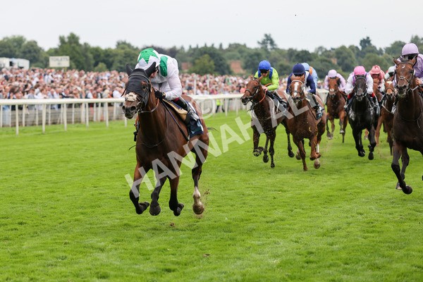 yr20082021r5-20 - Race 5 4.10pm British Stallion Studs EBF Convivial Maiden Stakes (Plus 10 Race)