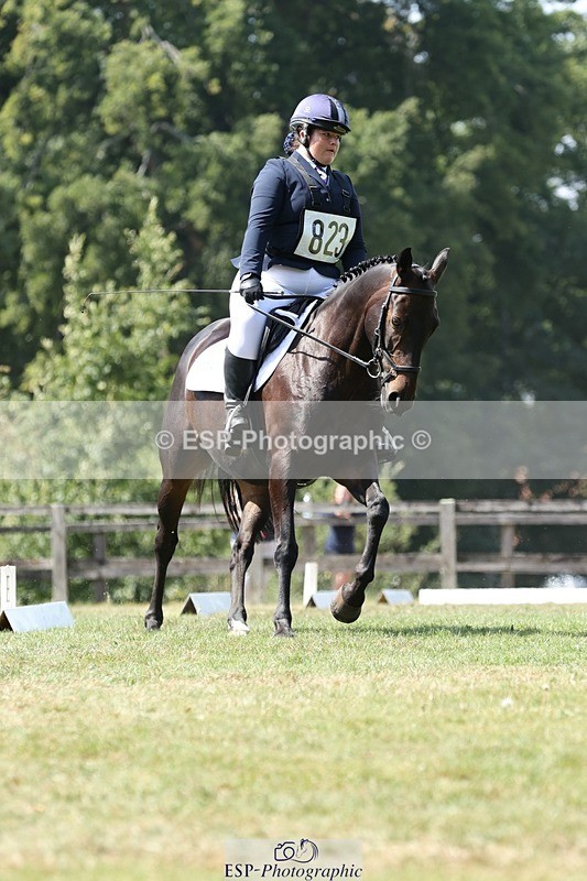 250823A-131430-31264 - Arena D