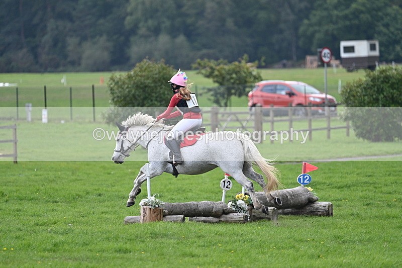 WJ7_3679 - 40cm Time 10:08 to 10:25