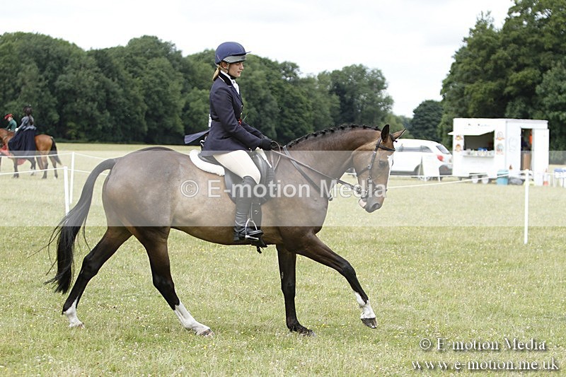 BVR160717-2288 - Working Hunter Championship 16/07/17