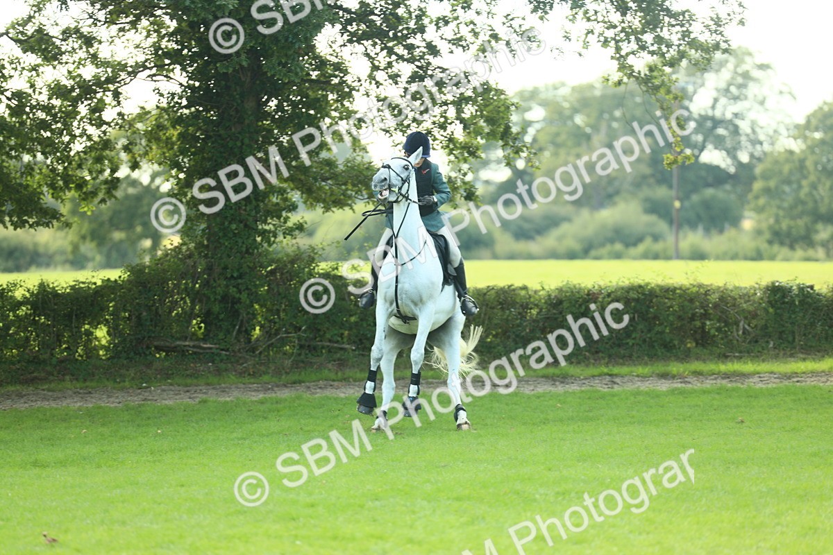 SBM_50579 - S33 - Working Hunter & Working Show Horse