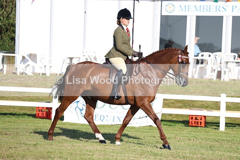 3E7A4907 - Class 1: Rising Star Small Hack/Riding Horses