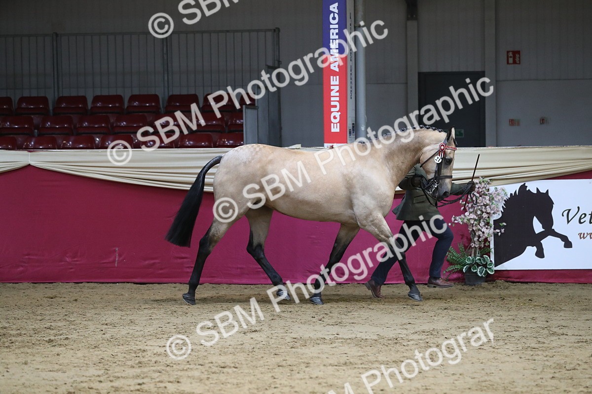 SBM_06517 - Regional IH Champ