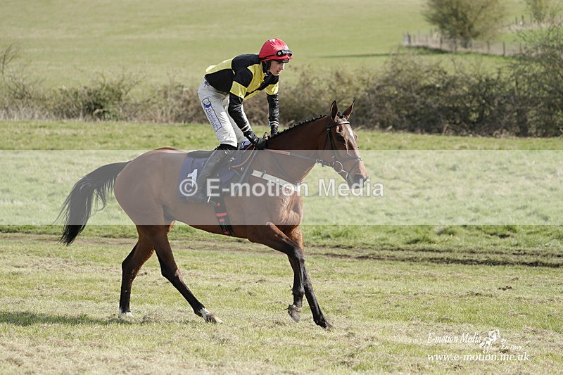 PtP 080423 634 - Dingley Races The Woodland Pytchley Hunt PtP 08/04/23