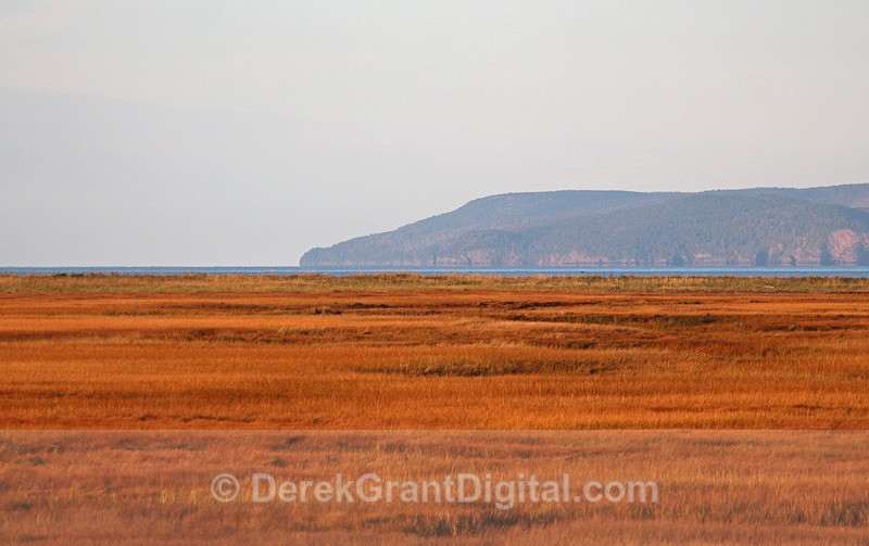 Salt Marsh, Cape Enrage - Fundy Postcards