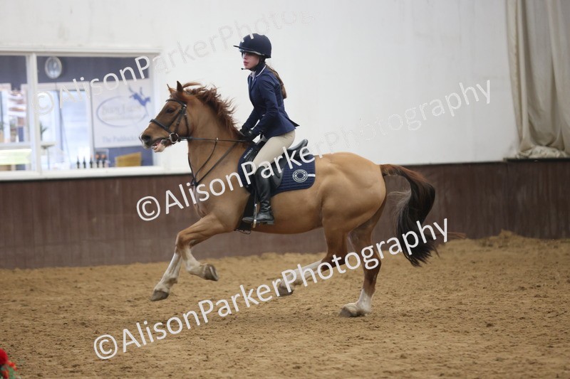 20260314-2524 - 70cm