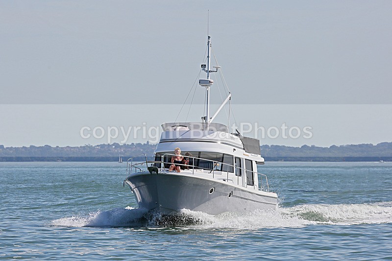 160826 BERTIE Y92A6264_Edit 2 - 160826 BERTIE