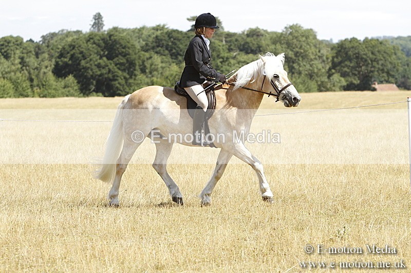 _BS_0723 - BVRC Show 2018 Ring 1