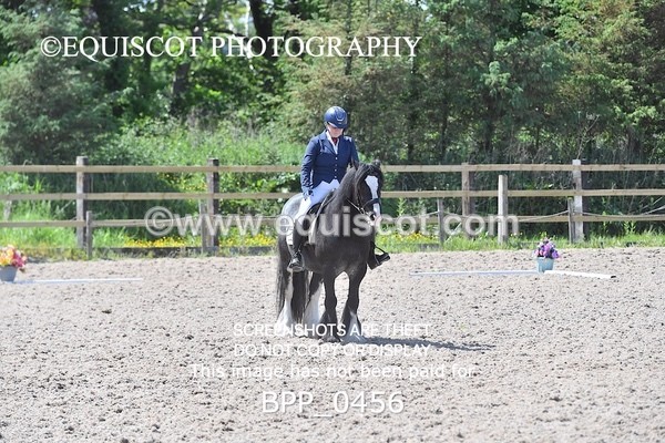 BPP_0456 - MFS NOVICE