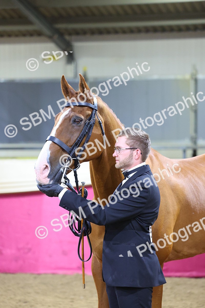 SBM_19179 - Class I Competition/ Riding Club Champ