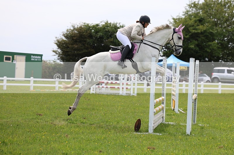 3E7A1659 - Class 13: Senior British Novice/90cm open