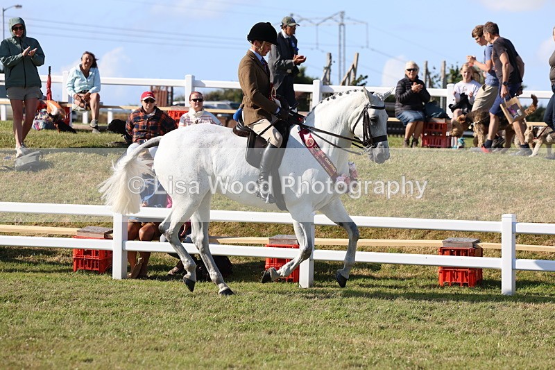 3E7A4257 - Supreme Championship