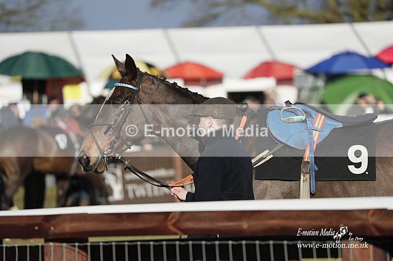 PtP 180323 1354 - Shelfield Park Races with Croome & West Warwickshire Hunt  18/03/23