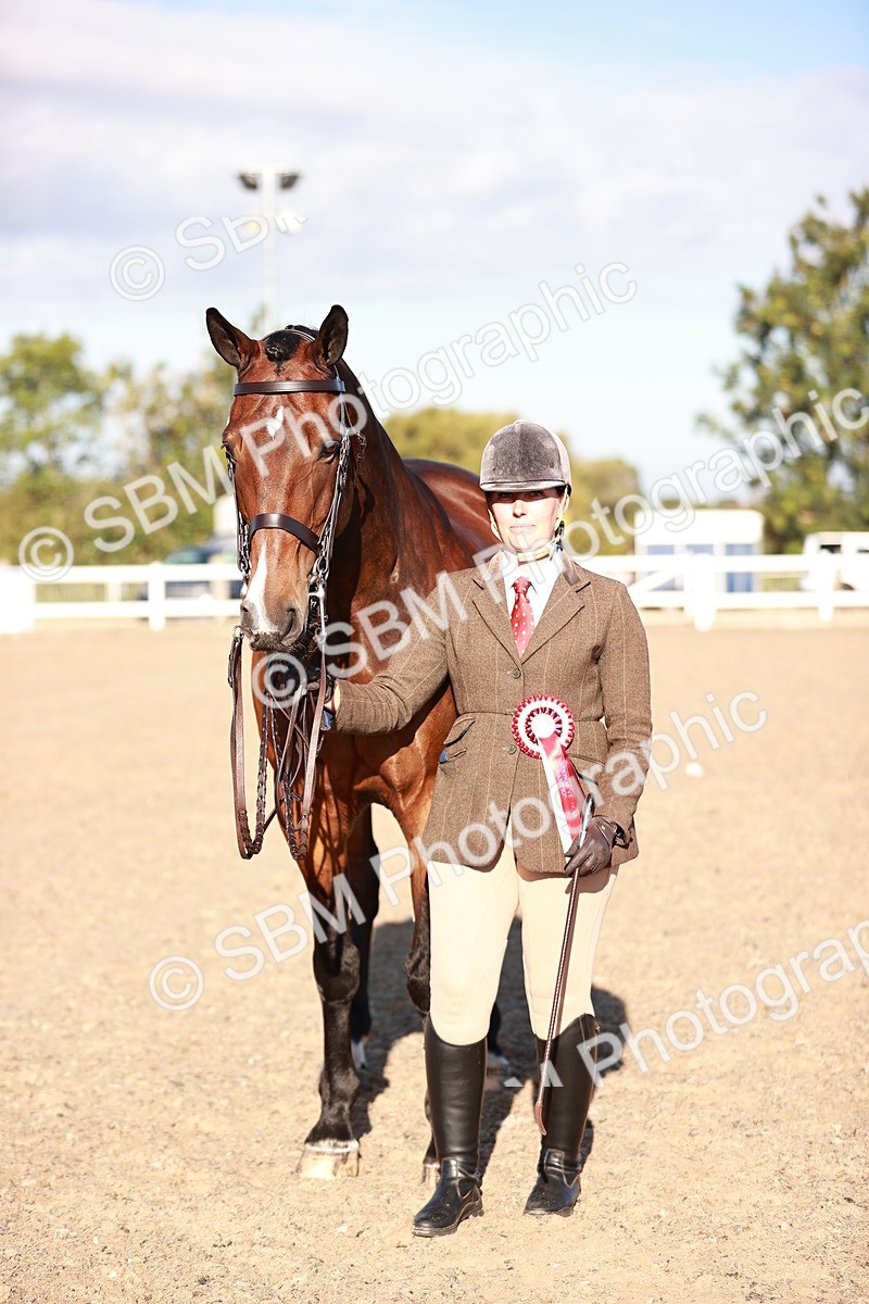 SBM_11221 - Class 401 - IH  Veteran horse